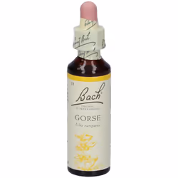 Bach Center Ess Gorse 20Ml 20 ml Gocce orali - Vista aggiuntiva 2