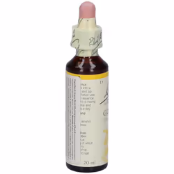 Bach Center Ess Gorse 20Ml 20 ml Gocce orali - Vista aggiuntiva 3
