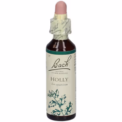 Bach Center Ess Holly 20Ml 20 ml Gocce orali