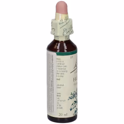Bach Center Ess Holly 20Ml 20 ml Gocce orali