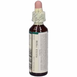 Bach Center Ess Holly 20Ml 20 ml Gocce orali - Vista aggiuntiva 4