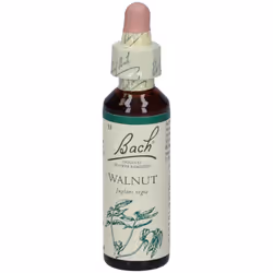 Bach Center Ess Walnut 20Ml 20 ml Gocce orali