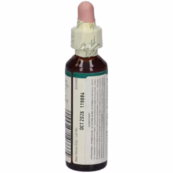 Bach Center Ess Walnut 20Ml 20 ml Gocce orali - Vista aggiuntiva 4