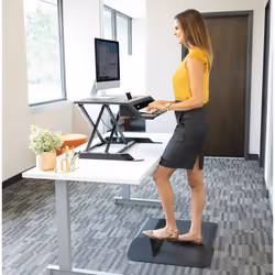 Fellowes Lotus LT - Vista aggiuntiva 7