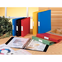 Rexel 13422BU raccoglitore ad anelli Blu