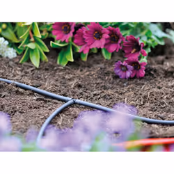 Hozelock 2772 pompa da giardino 10 m Sul suolo PVC Nero - Vista aggiuntiva 4