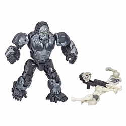 Transformers : Il Risveglio, Beast Alliance, Doppio pacco, confezione da 2 con Optimus Primal e Arrowstripe, 6 anno/i, Plasti ...