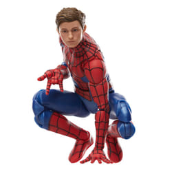 Marvel Legends Series Spider-Man