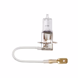 Ring R453, 12 V, 1 pz