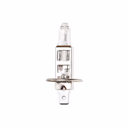 Ring R493, 24 V, 1 pz