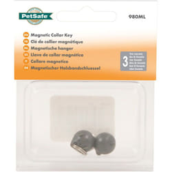 Chiave magnetica per porta Staywell per gatti