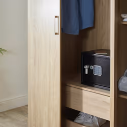 Yale YSV/250/DB2 cassaforte Cassaforte indipendente 16,3 L Acciaio Nero - Vista aggiuntiva 6