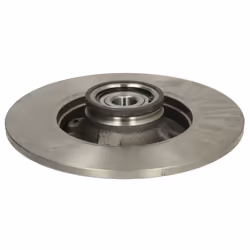 Disco freno DELPHI BG9021RS posteriore, pieno, 1 Pezzo