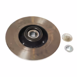 Disco freno DELPHI BG9026RS posteriore, pieno, 1 Pezzo