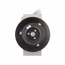 Compressore, condizionatore d'aria DELPHI TSP0159868