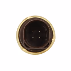 Sensore, temperatura del liquido di raffreddamento DELPHI TS10283