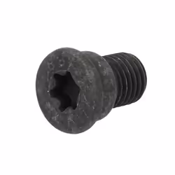 Apertura chiave: Torx-50. Dimensioni filettatura: M12x1,5. Indice: BGK007. Lunghezza [mm]: 21. Numero del Produttore: BGK007. ...