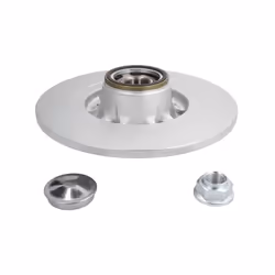 Disco freno DELPHI BG9113RSC posteriore, pieno, 1 Pezzo