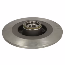 Disco freno DELPHI BG9134RS posteriore, pieno, 1 Pezzo