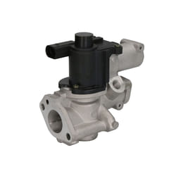 Valvola EGR DELPHI EG10509-12B1