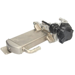 Valvola EGR DELPHI EG10576-12B1