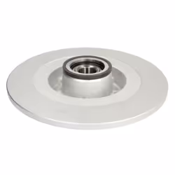 Disco freno DELPHI BG9488RSC posteriore, pieno, 1 Pezzo
