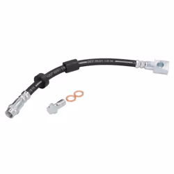 Dimensioni filettatura 1: M10x1 120o SF. Dimensioni filettatura 2: Banjo. Indice: LH7738. Lunghezza [mm]: 295. Lunghezza d. f ...