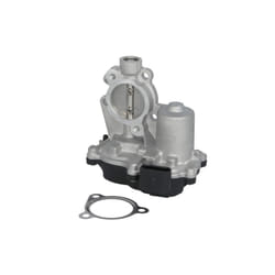Valvola EGR DELPHI EG10630-12B1