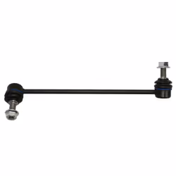 Asta/puntone, stabilizzatore DELPHI TC6978