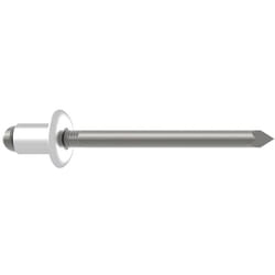 Gesipa - 1433559 Rivetto Acciaio Acciaio 500 pz.