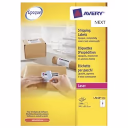 Avery L7166-250, Bianco, 250 fogli, 99,1 mm, 93,1 mm, 1500 pz