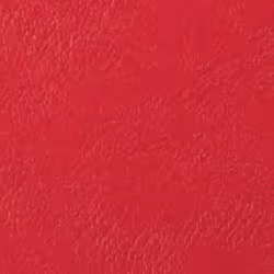 GBC 100 ANTELOPE COVERS A4 RED - Vista aggiuntiva 4