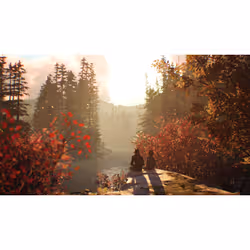 Square Enix Life is Strange 2 - Vista aggiuntiva 6