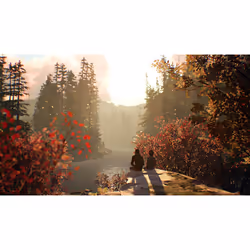 PLAION Life is Strange 2, PS4 Standard PlayStation 4 - Vista aggiuntiva 6