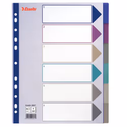 Esselte Plastic tab, A4, 245 mm, 305 mm, 1 pz