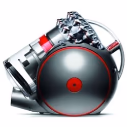 Dyson Cinetic Big Ball AnimalPro 2 0,8 L A cilindro Secco 700 W Senza sacchetto