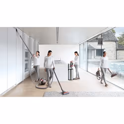 Dyson Cinetic Big Ball AnimalPro 2 0,8 L A cilindro Secco 700 W Senza sacchetto