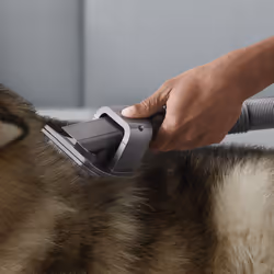 Dyson 972205-01 accessorio e ricambio per aspirapolvere Kit di accessori Aspirapolvere portatile - Vista aggiuntiva 7