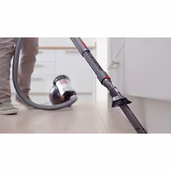 Dyson Big Ball Absolute 2 A cilindro Secco - Vista aggiuntiva 2