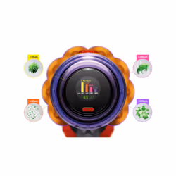 Dyson Aspirapolvere V12 Detect Absolute - Vista aggiuntiva 5