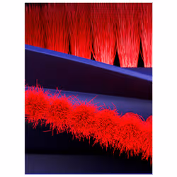 Dyson R1 Nurovi™ Dry - Vista aggiuntiva 6