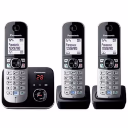 Panasonic KX-TG6823GB telefono Telefono DECT Identificatore di chiamata Nero, Argento