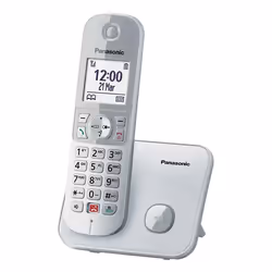 Panasonic KX-TG6851SPS, Telefono DECT, Cornetta wireless, Telefono con vivavoce, 200 voci, Identificatore di chiamata, Grigio ...