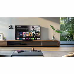 Panasonic TB-65W61AEZ TV 165,1 cm (65") 4K Ultra HD Smart TV Wi-Fi Nero - Vista aggiuntiva 2