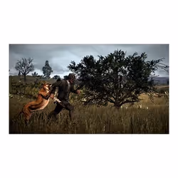 Take-Two Interactive Red Dead Redemption 2, Xbox One Standard ITA - Vista aggiuntiva 8