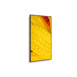 NEC MultiSync ME501 Pannello piatto per segnaletica digitale 50" VA 400 cd/m² 4K Ultra HD Nero 18/7 - Vista aggiuntiva 4