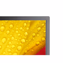 NEC MultiSync ME651 Pannello piatto per segnaletica digitale 65" IPS 400 cd/m² 4K Ultra HD Nero 18/7 - Vista aggiuntiva 5