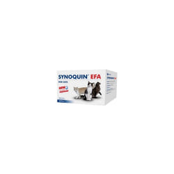 Vetplus - Sinoquin efa Cat Food Complement per l'assistenza all'articolazione. 30 capsule