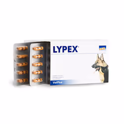 Lypex è un prodotto utile per garantire il benessere dei cani e dei gatti grazie alle sue proprietà.