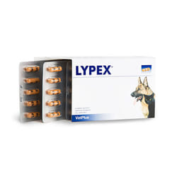 Lypex Integratore per Cani e Gatti 60 Capsule